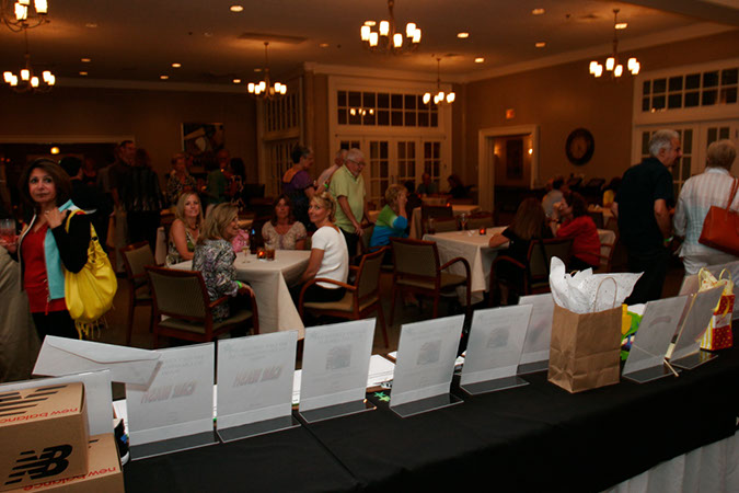 Save%20a%20Star%20176